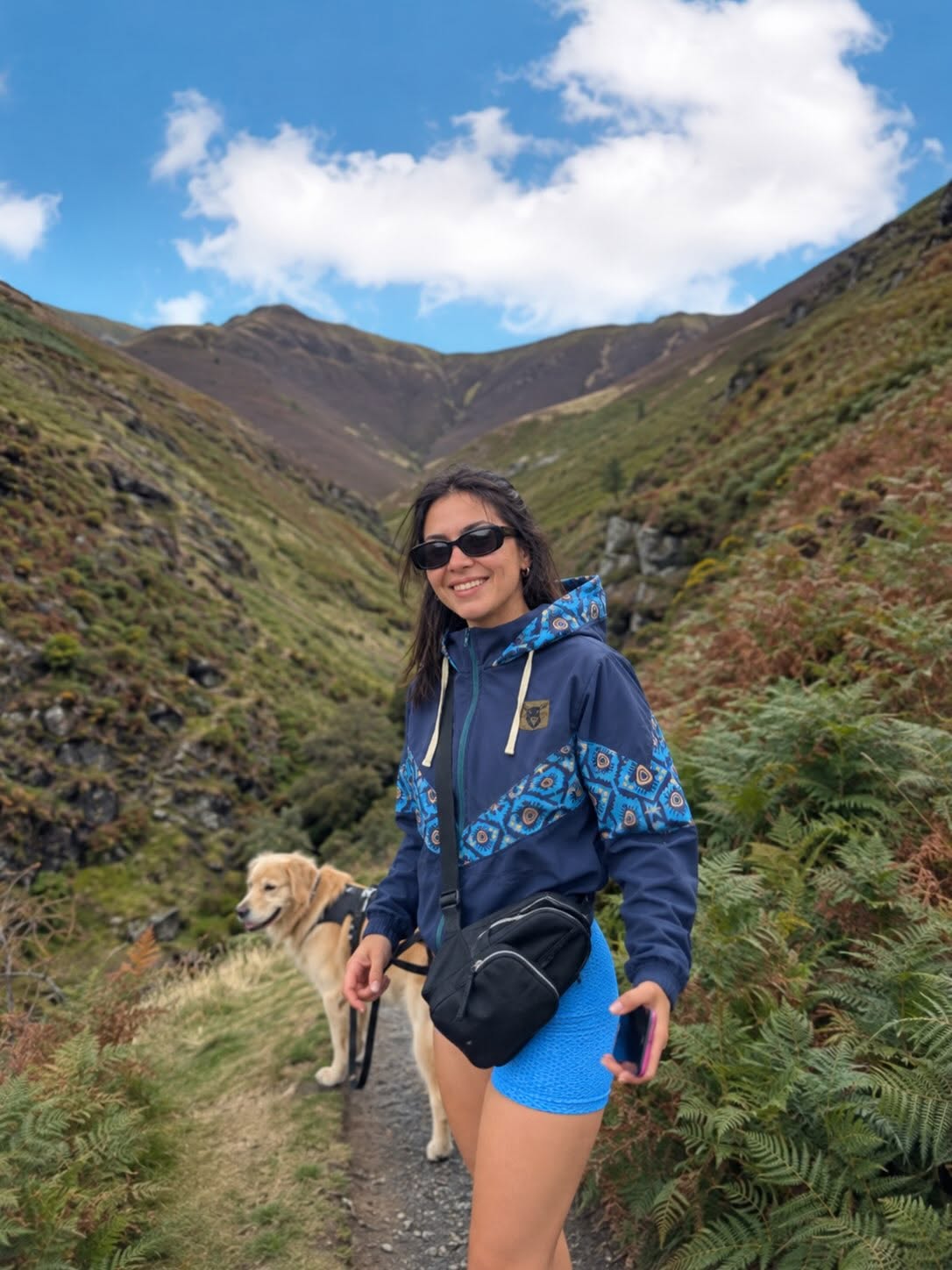 Cortaviento Maya