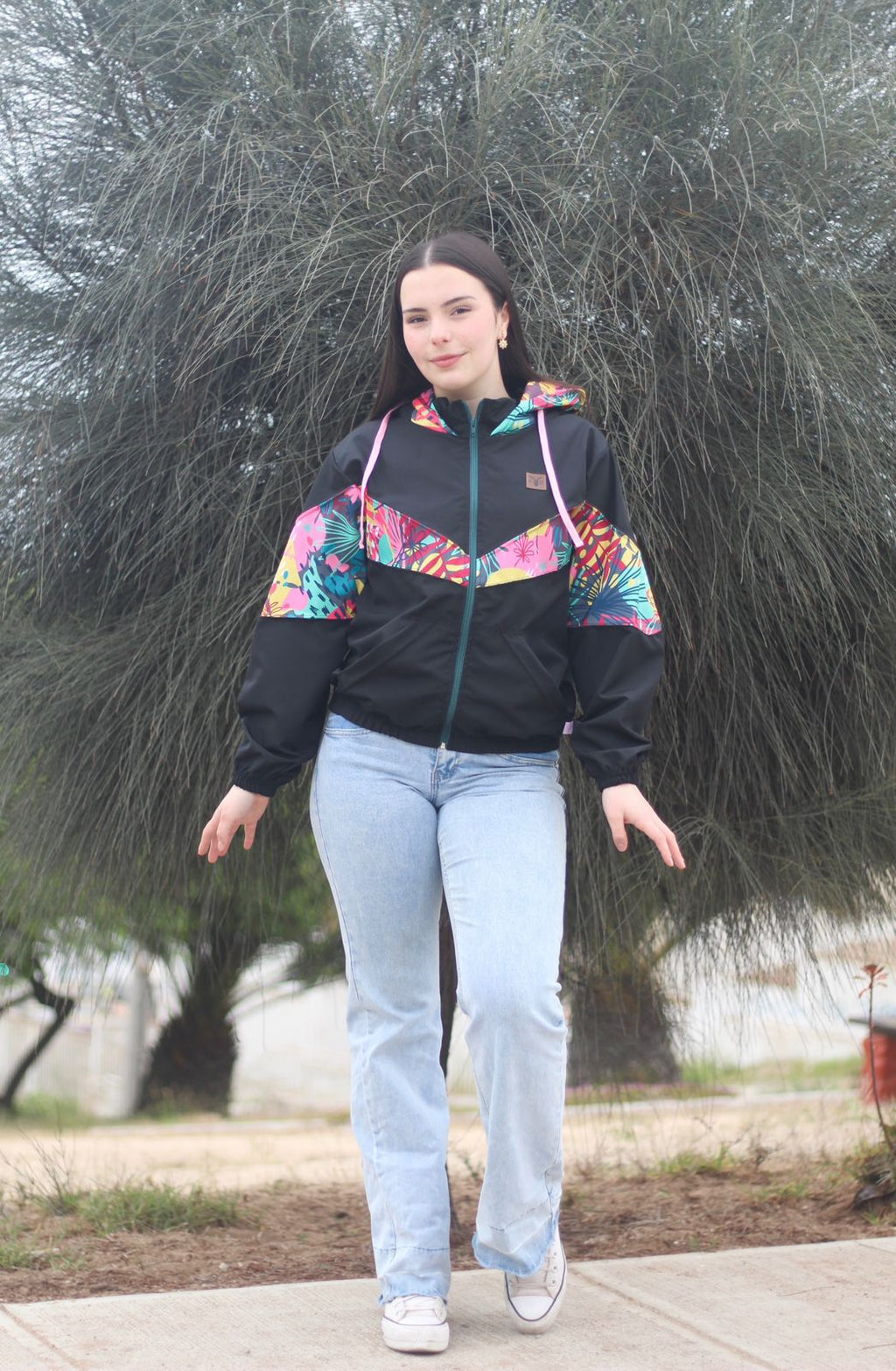 Cortaviento Villarrica