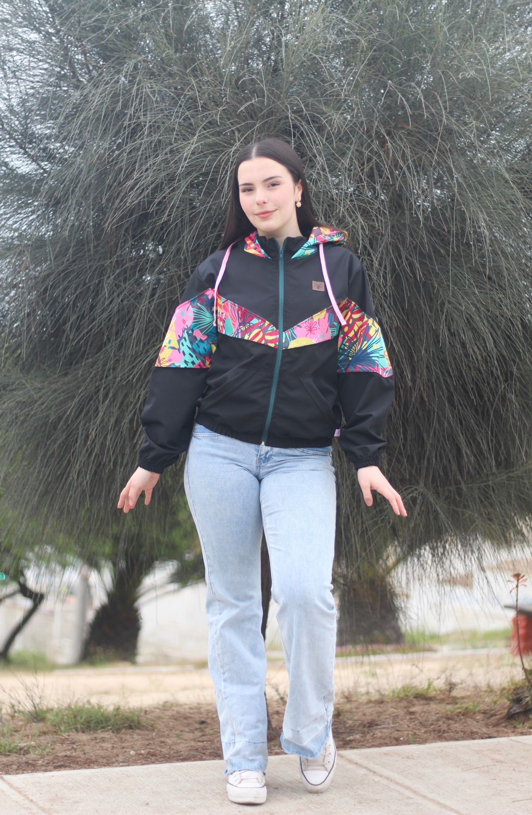 Cortaviento Villarrica