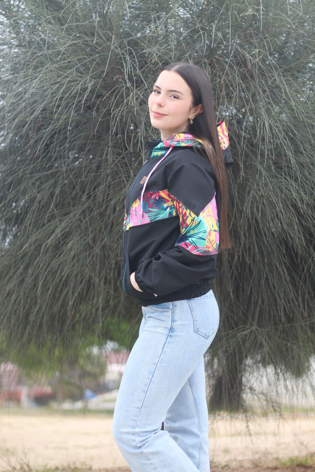 Cortaviento Villarrica